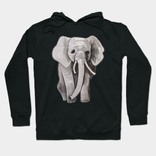 Elephant Hoodie